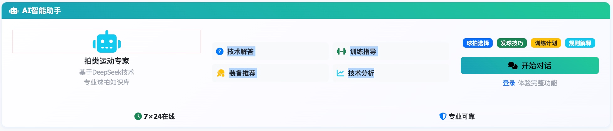 AI智能助手球拍运动专家产品截图